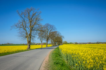 Gemeindevertretung Rondeshagen Beschäftigt Sich Am 13.02. Mit Sanierung Von Straßen