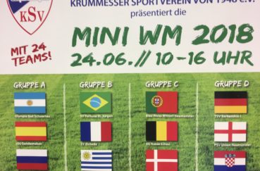 Krummesser SV Ist Veranstalter Von Mini-WM Am 24. Juni In Groß Schenkenberg