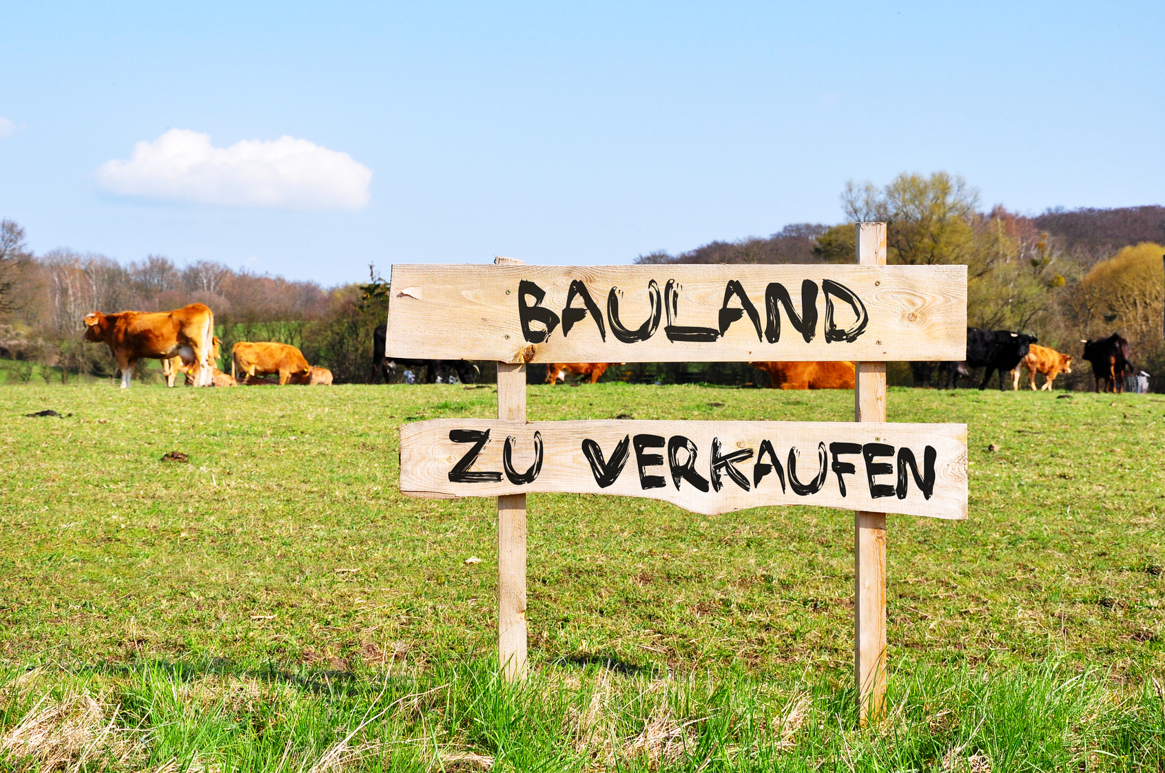 Gemeinde Göldenitz Veräußert Wohnbaugrundstück – Bewerbungen Bis 15.12. Möglich