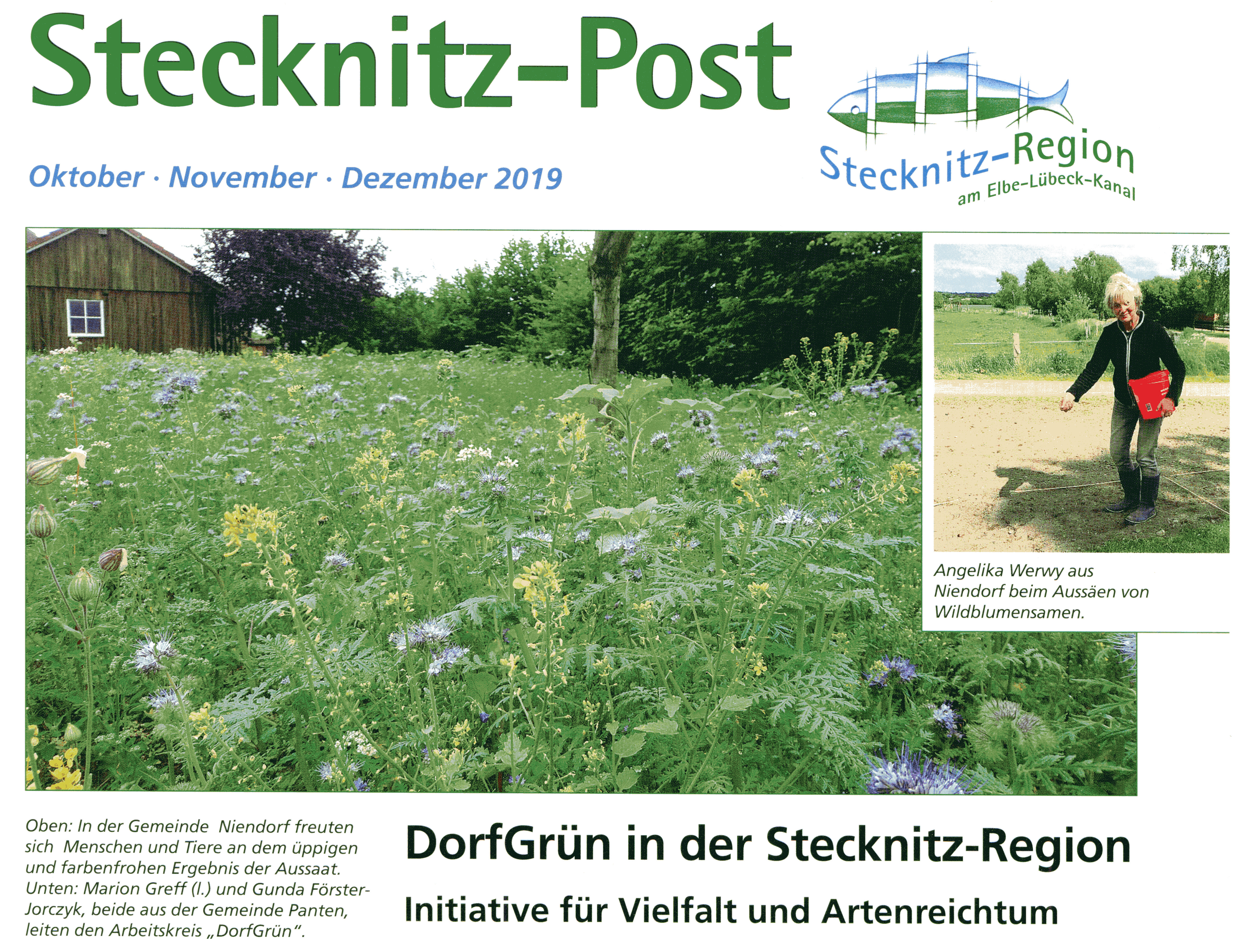 Stecknitz-Post Für Monate Oktober Bis Dezember Wird An Alle Haushalte Verteilt