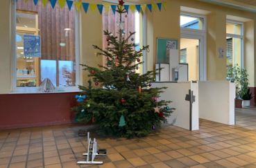 Weihnachtsbäume Der Stecknitz-Schule Werden Per Muskelkraft Beleuchtet