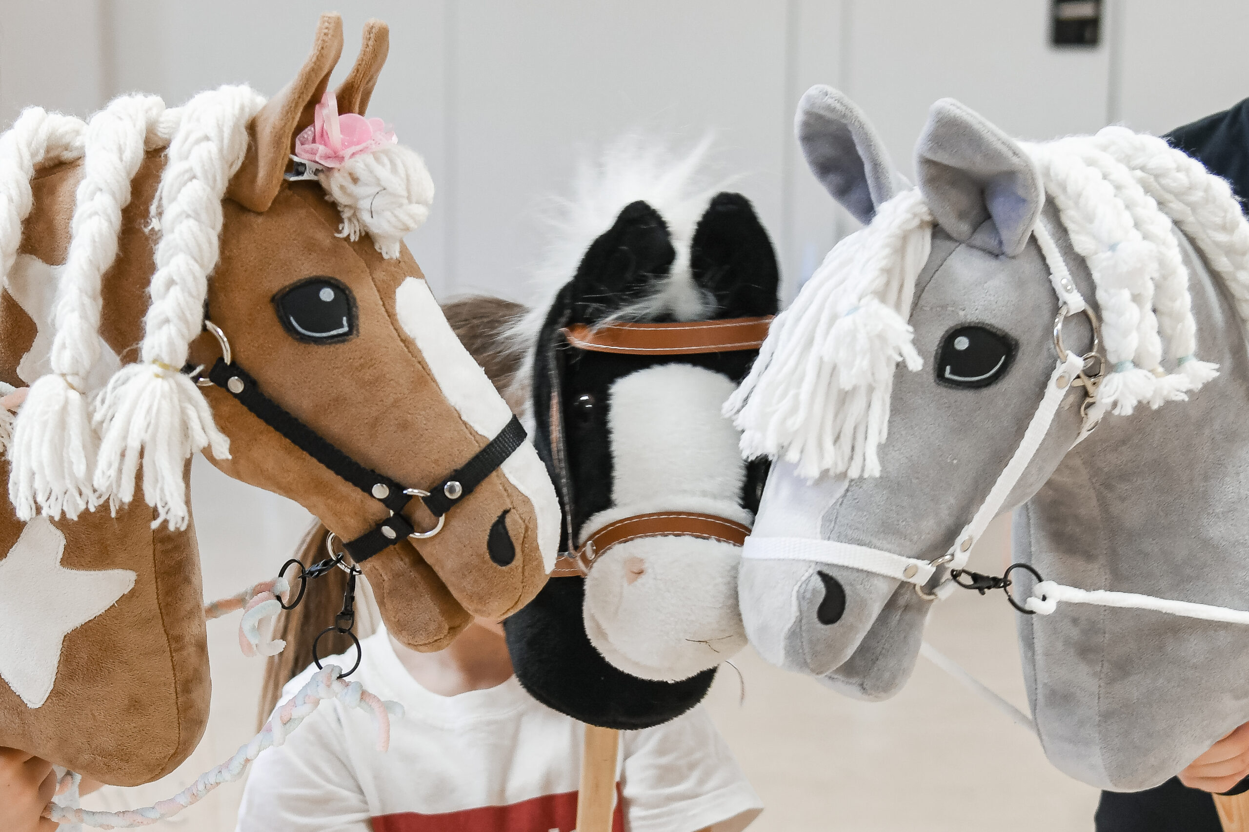 Hobby-Horse Gang In Rondeshagen: Teilnehmerinnen Und Teilnehmer Gesucht!