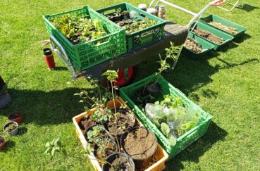 Klempauer Pflanzen- Und Samen-Tauschbörse Am 19.04.