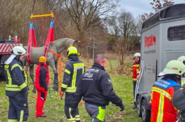 Übung Zur Großtierrettung Der Feuerwehren In Kastorf