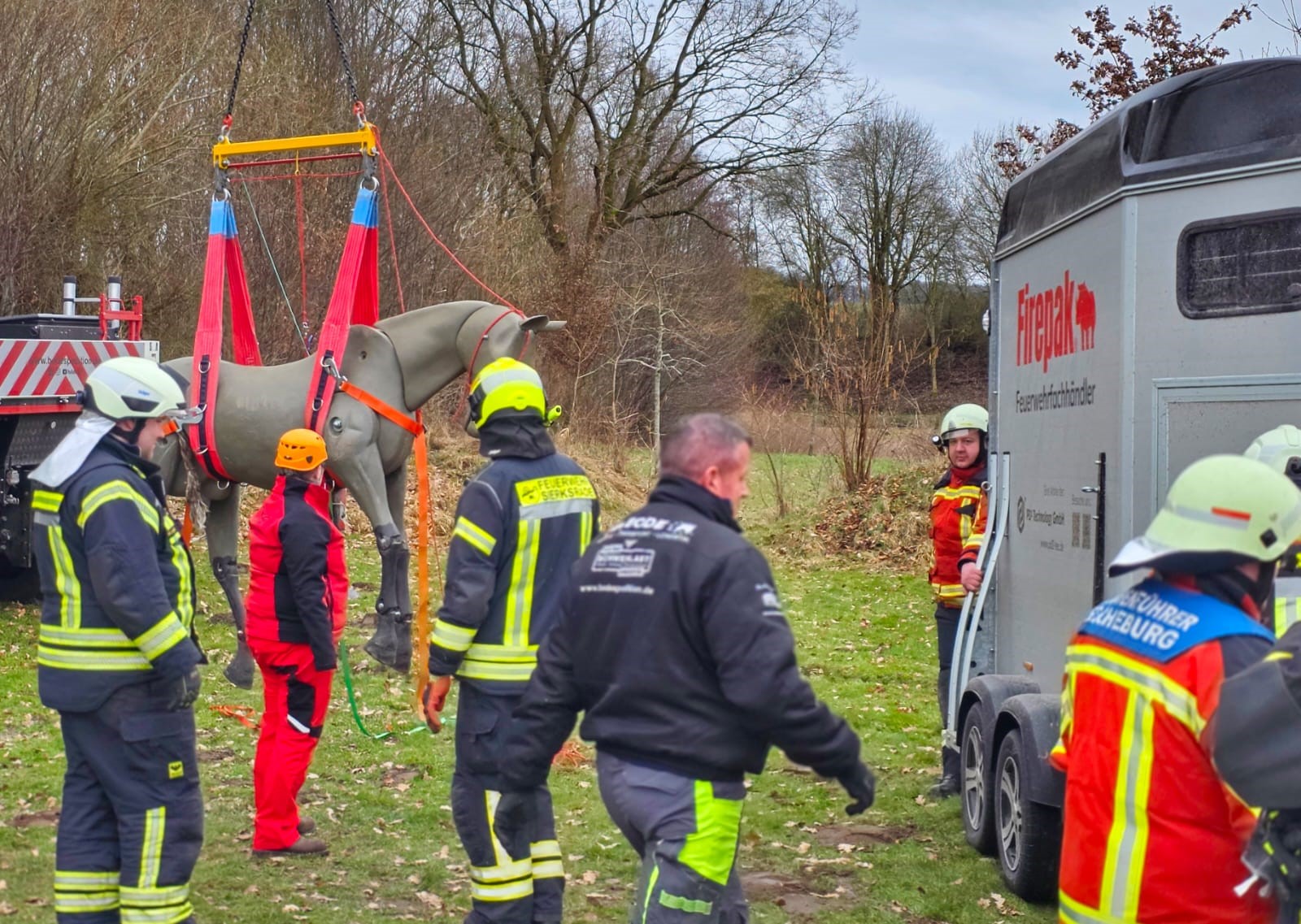 Übung Zur Großtierrettung Der Feuerwehren In Kastorf